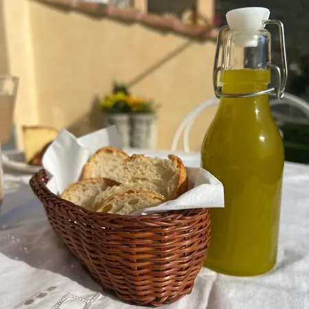 Le Merline Arnasco