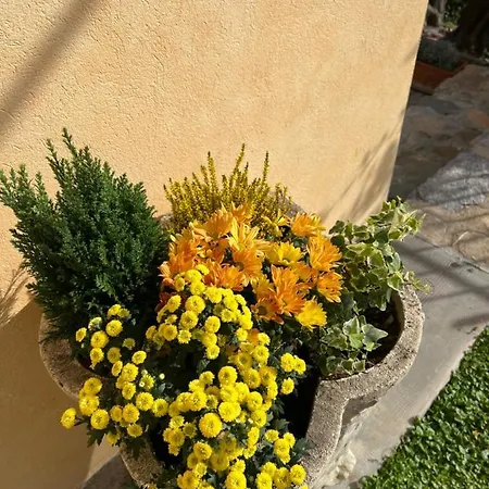 Le Merline Alloggio per agriturismo Arnasco