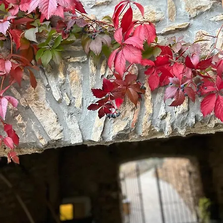 Alloggio per agriturismo Le Merline *
